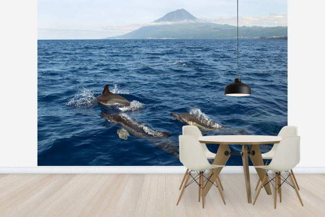 PHOTOWALL / Dolphins in the Azores (e23522)