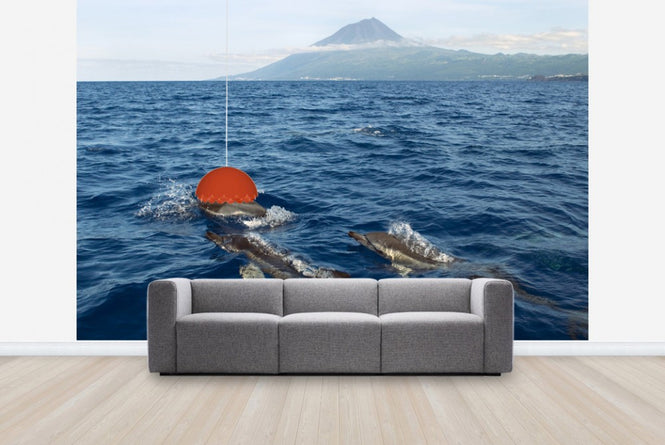 PHOTOWALL / Dolphins in the Azores (e23522)