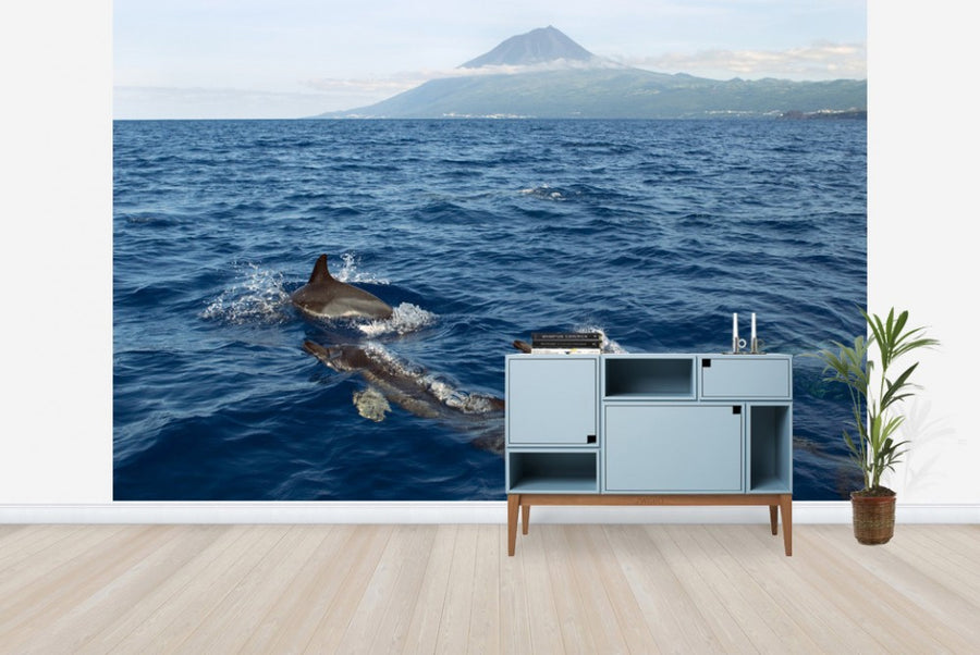 PHOTOWALL / Dolphins in the Azores (e23522)