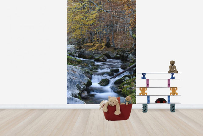 PHOTOWALL / Woodland Autumn Water (e23524)