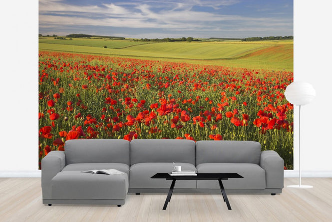 PHOTOWALL / Sea of Poppies (e23529)
