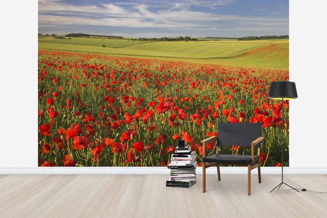 PHOTOWALL / Sea of Poppies (e23529)