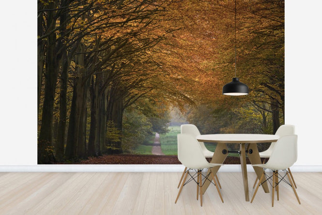 PHOTOWALL / Great Wood Alley (e23585)