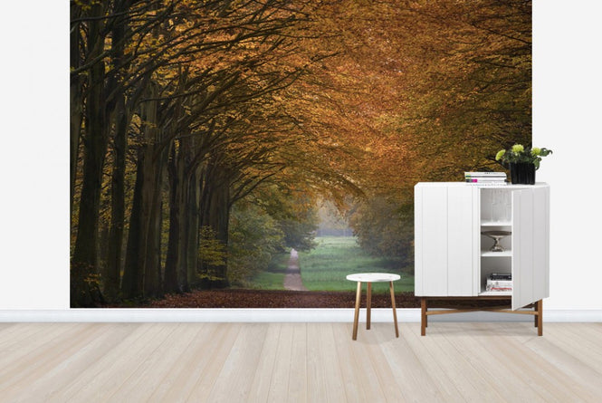 PHOTOWALL / Great Wood Alley (e23585)