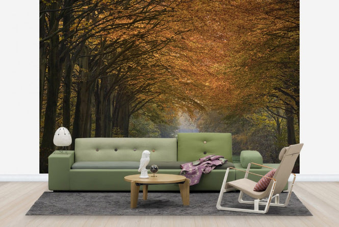 PHOTOWALL / Great Wood Alley (e23585)