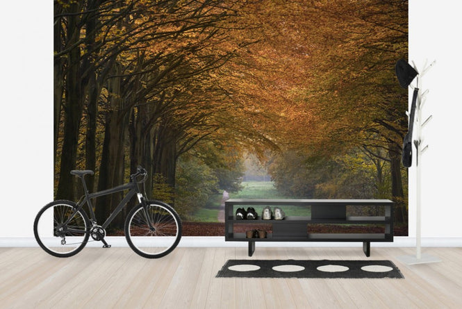PHOTOWALL / Great Wood Alley (e23585)
