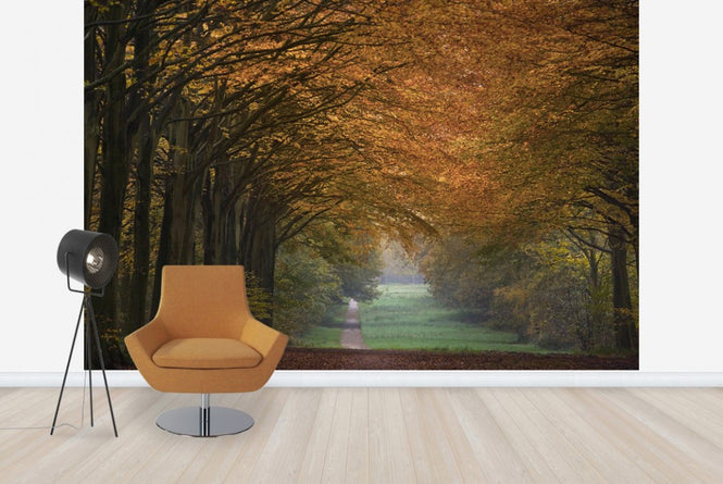 PHOTOWALL / Great Wood Alley (e23585)