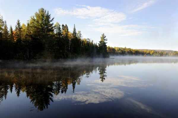 PHOTOWALL / Misty Morning Lake (e23586)