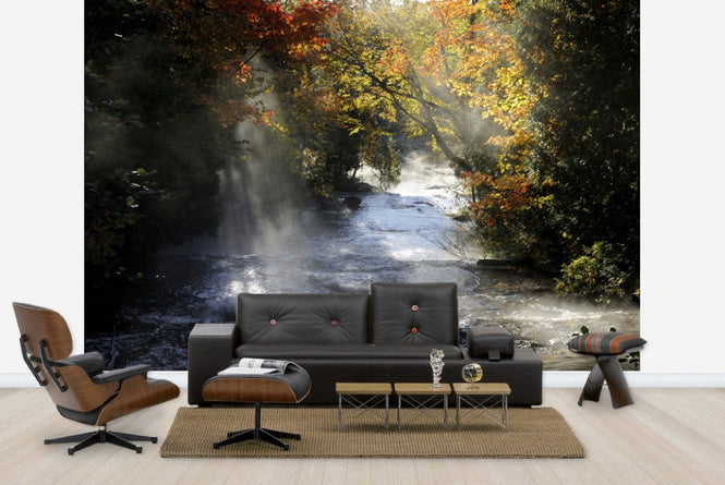 PHOTOWALL / Waterfall with Autumn Colors (e23587)