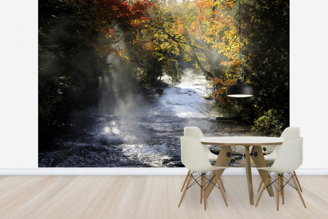 PHOTOWALL / Waterfall with Autumn Colors (e23587)