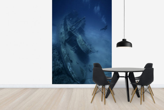 PHOTOWALL / Shipwreck and Diver (e23592)