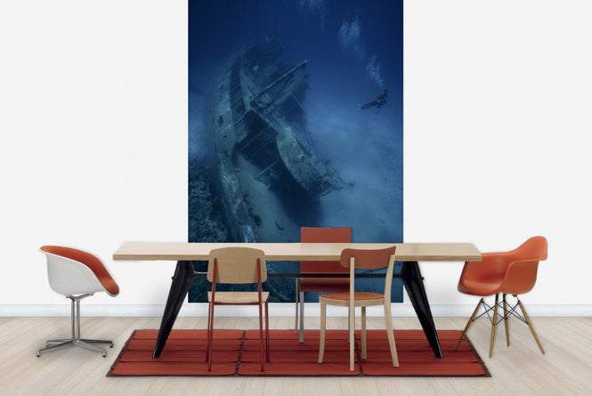 PHOTOWALL / Shipwreck and Diver (e23592)
