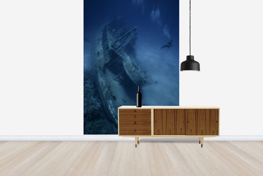 PHOTOWALL / Shipwreck and Diver (e23592)