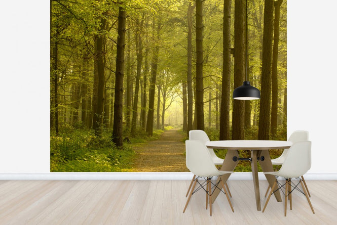 PHOTOWALL / Path through Golden Forest (e23602)