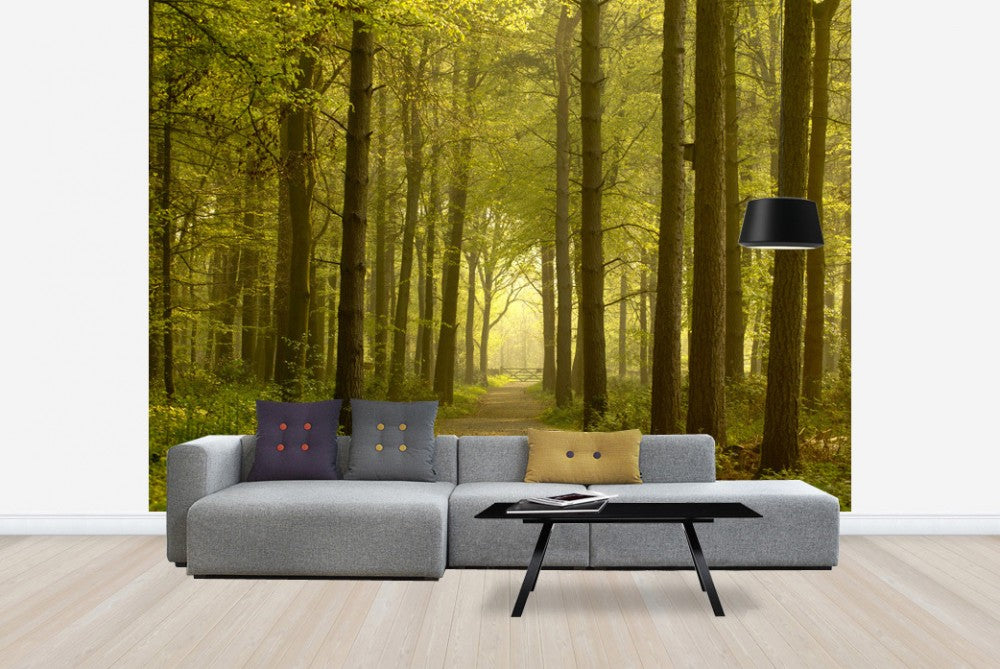 PHOTOWALL / Path through Golden Forest (e23602) | 輸入壁紙
