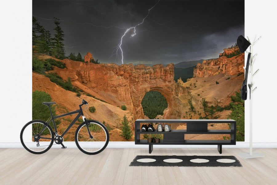PHOTOWALL / Summer Thunderstorm (e23609)