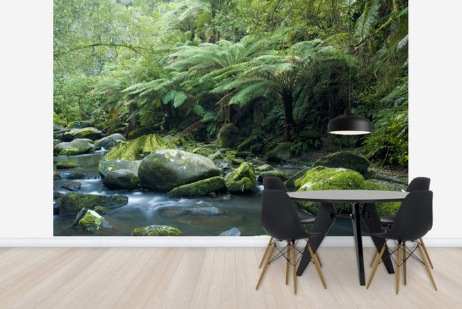 PHOTOWALL / Tropical Verdancy (e23610)