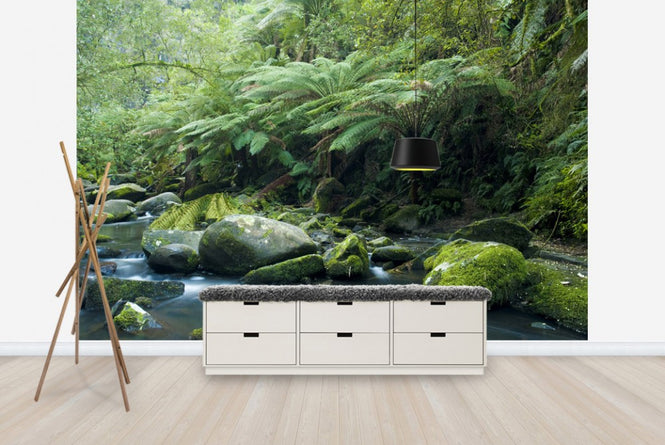 PHOTOWALL / Tropical Verdancy (e23610)