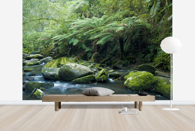 PHOTOWALL / Tropical Verdancy (e23610)