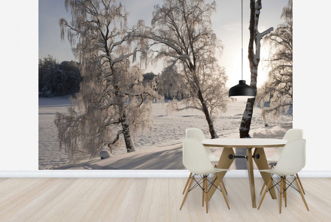 PHOTOWALL / Snow-Covered Silver Birches (e23612)