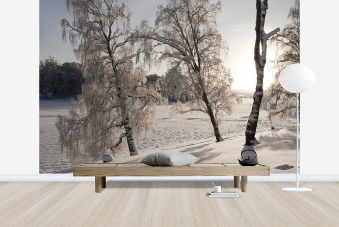 PHOTOWALL / Snow-Covered Silver Birches (e23612)