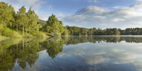 PHOTOWALL / Peaceful Summer Lake (e23613)