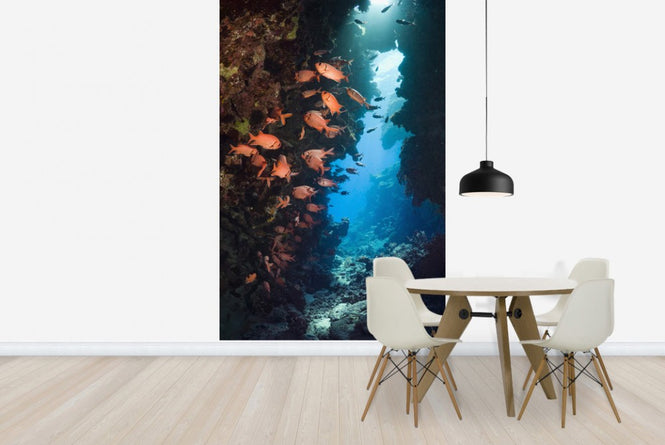 PHOTOWALL / Red Soldierfish (e23622)