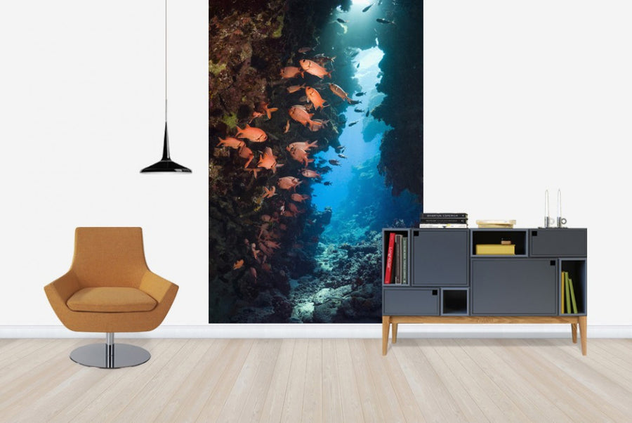 PHOTOWALL / Red Soldierfish (e23622)