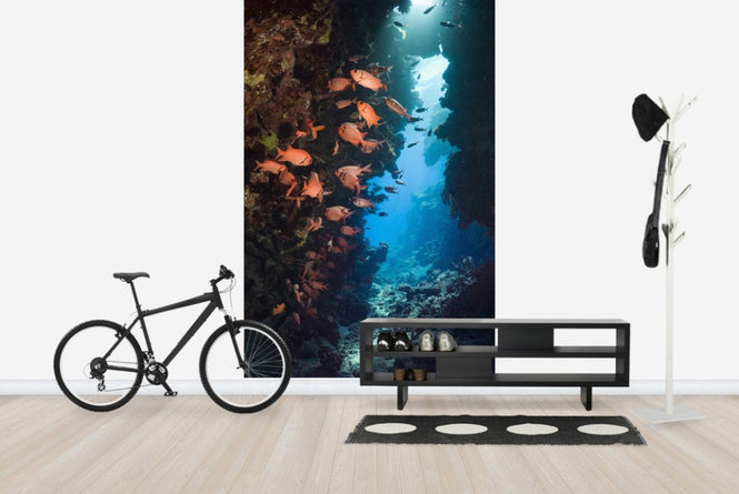 PHOTOWALL / Red Soldierfish (e23622)