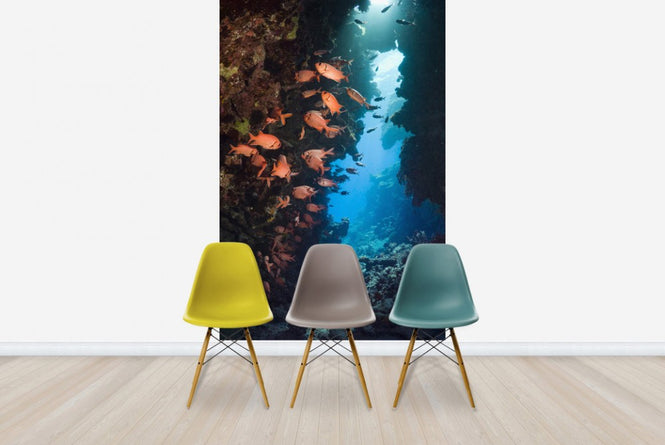 PHOTOWALL / Red Soldierfish (e23622)