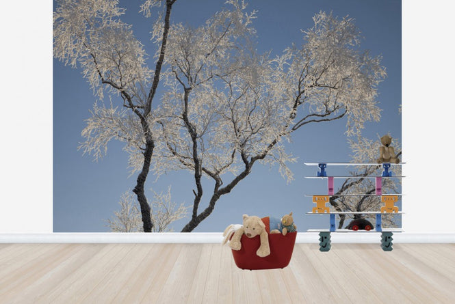 PHOTOWALL / Silver Birch (e23630)