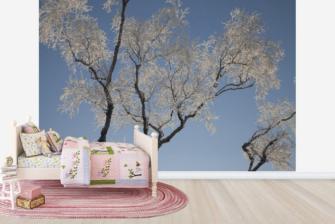 PHOTOWALL / Silver Birch (e23630)