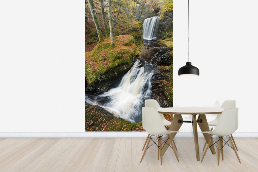 PHOTOWALL / Waterfalls and Red Leaves (e23634)