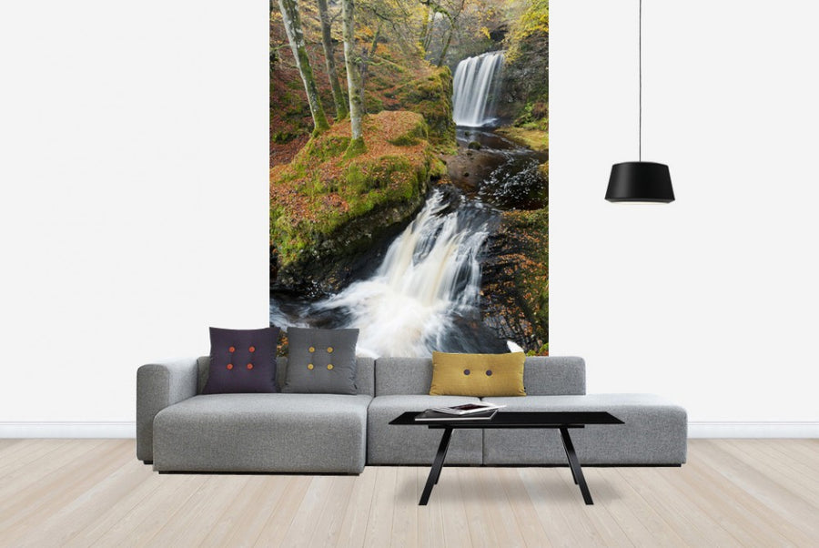 PHOTOWALL / Waterfalls and Red Leaves (e23634)