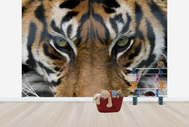 PHOTOWALL / Eye of the Tiger (e23635)
