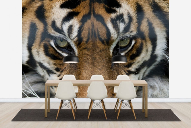 PHOTOWALL / Eye of the Tiger (e23635)
