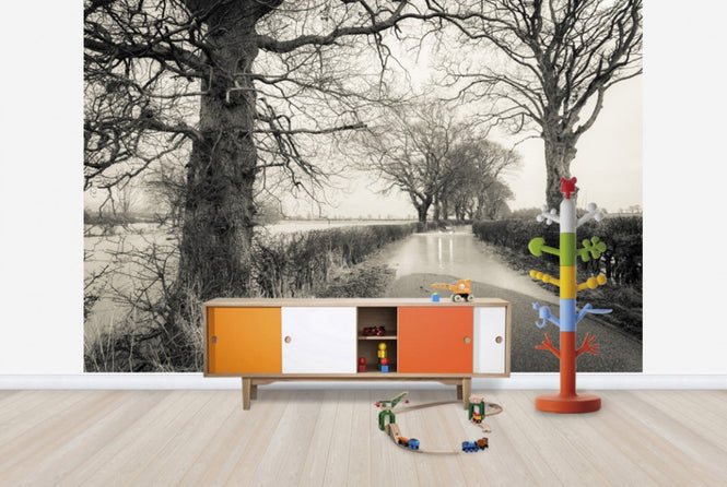 PHOTOWALL / Flooded Road (e23637)