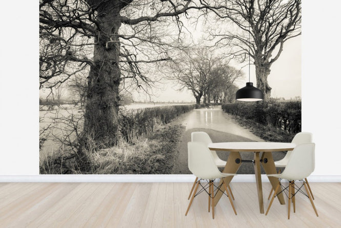 PHOTOWALL / Flooded Road (e23637)