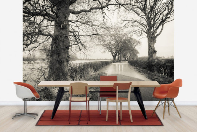 PHOTOWALL / Flooded Road (e23637)