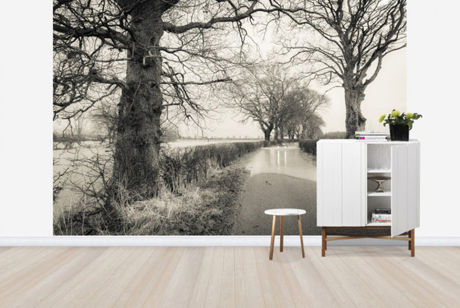 PHOTOWALL / Flooded Road (e23637)
