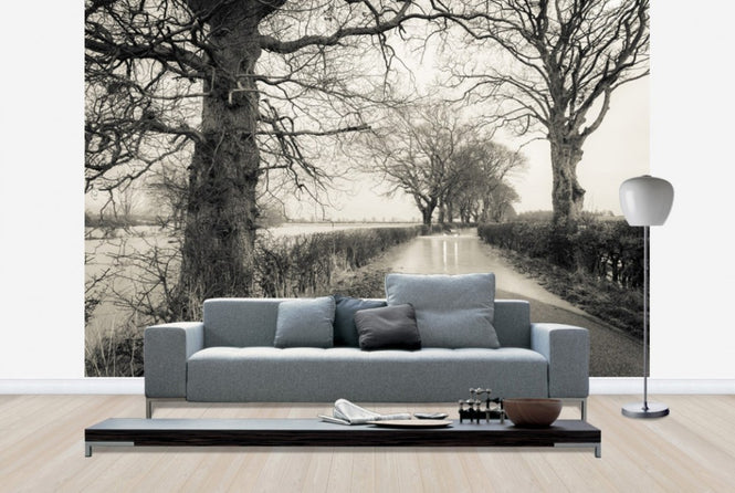 PHOTOWALL / Flooded Road (e23637)