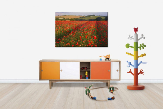 PHOTOWALL / Scarlett Field (e23647)