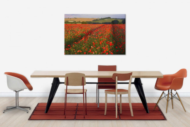 PHOTOWALL / Scarlett Field (e23647)