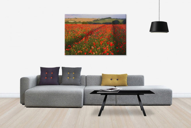 PHOTOWALL / Scarlett Field (e23647)