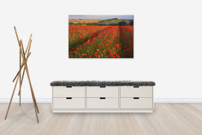 PHOTOWALL / Scarlett Field (e23647)