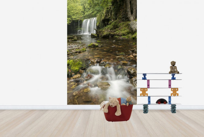 PHOTOWALL / Clear Water Stream (e23657)