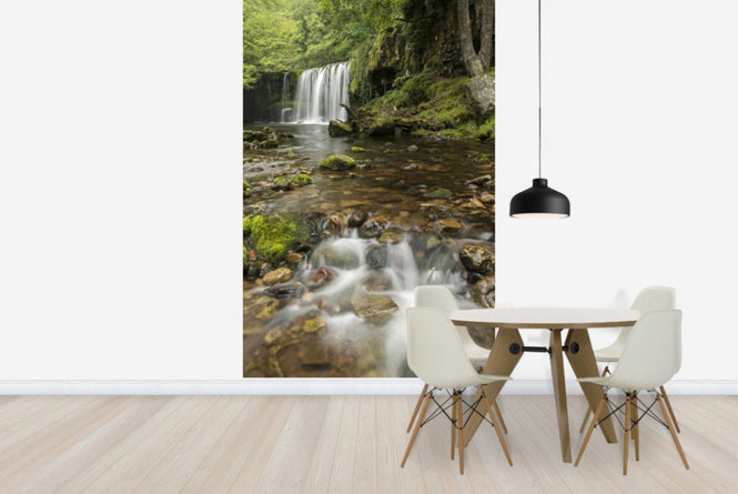 PHOTOWALL / Clear Water Stream (e23657)