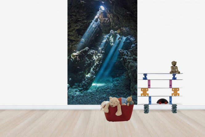 PHOTOWALL / Underwater Cavern (e23671)