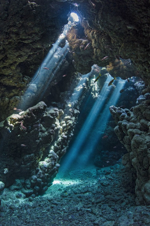 PHOTOWALL / Underwater Cavern (e23671)