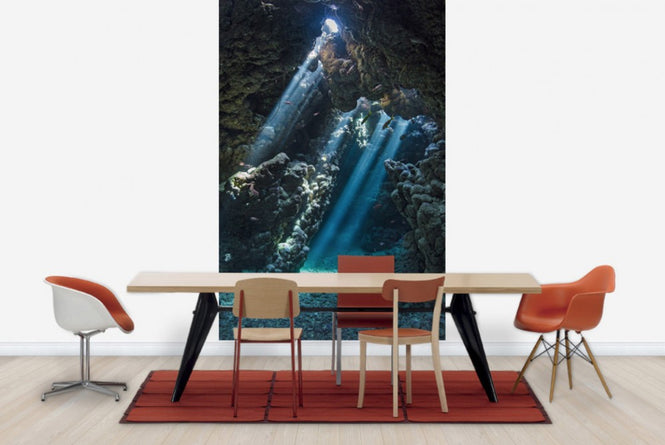 PHOTOWALL / Underwater Cavern (e23671)